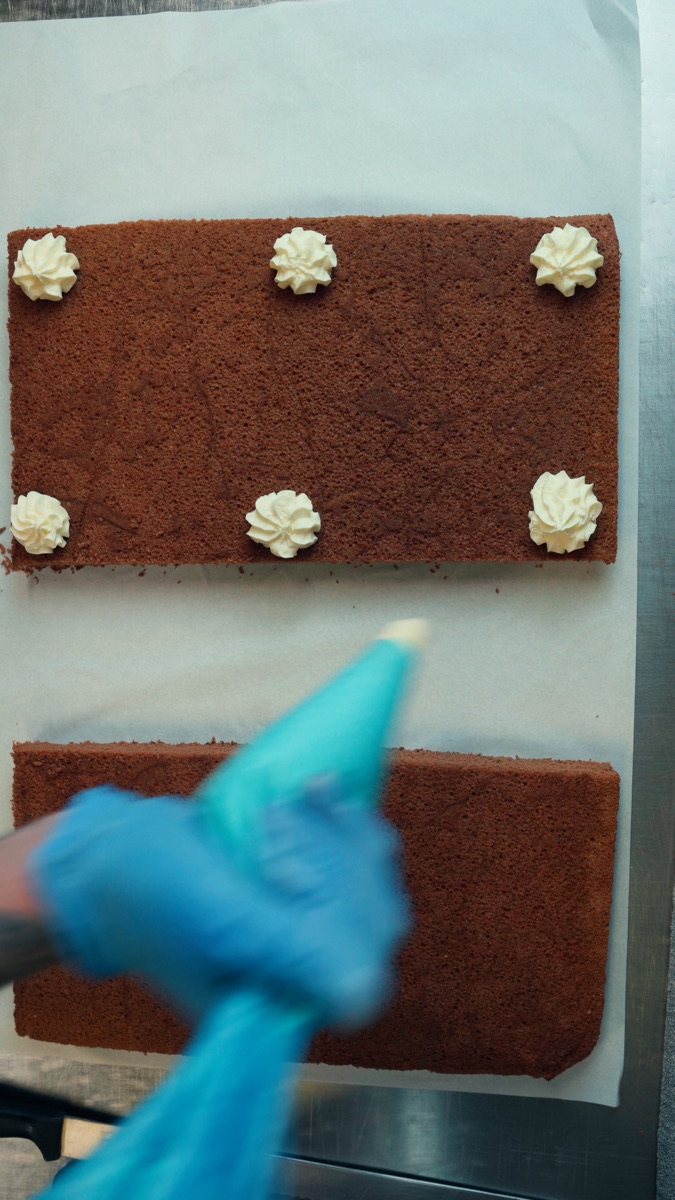 Fresh baked sponge